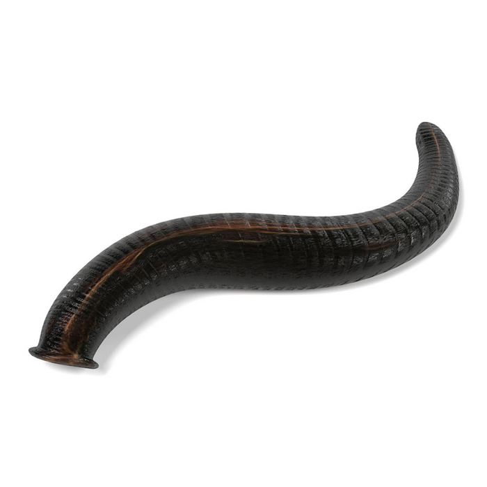 Leeches - 1-3 DOZEN