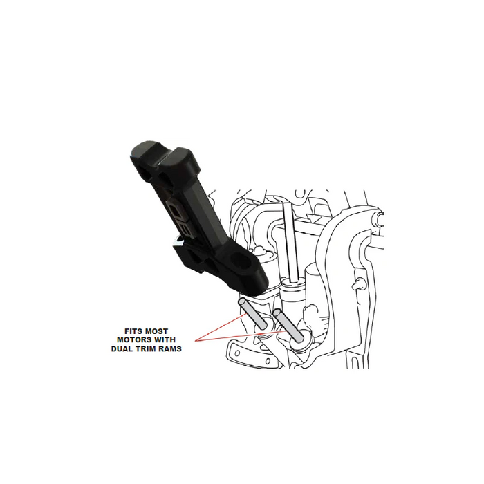 BEATDOWN Transom Saver