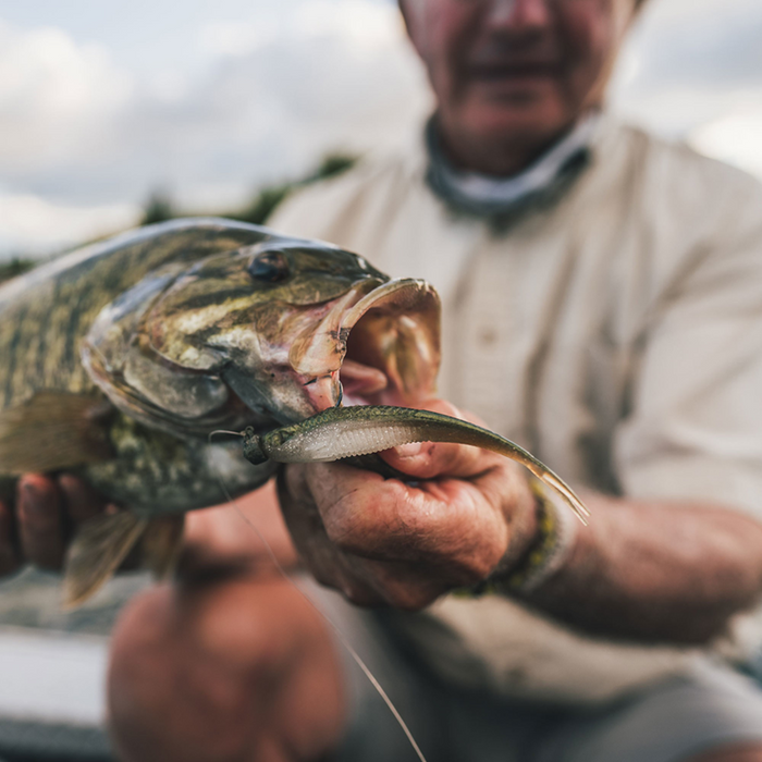 RAPALA Crushcity The Jerk - 7 PACK
